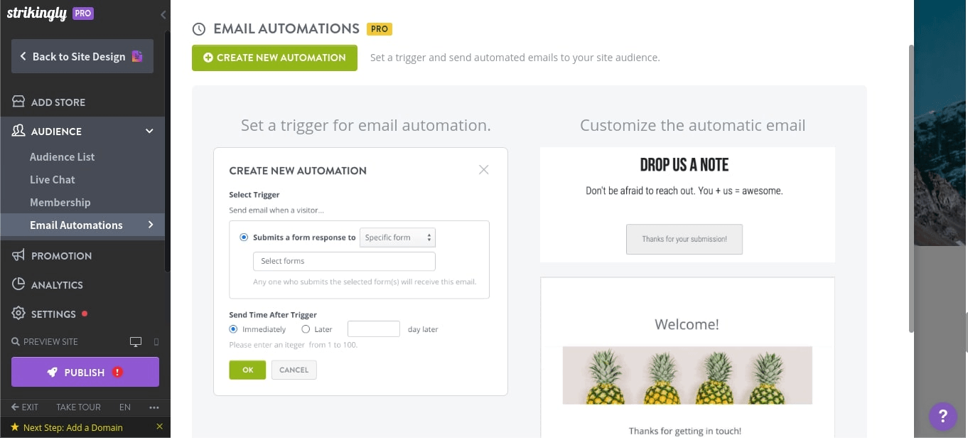 null Audience selection and analytics are also possible on Strikingly